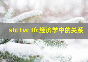 stc tvc tfc经济学中的关系